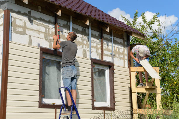 Best Stucco Siding  in Avalon, NJ