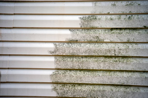 Best Brick Veneer Siding  in Avalon, NJ