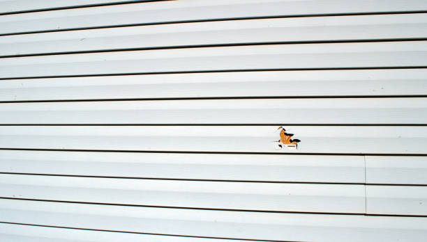 Affordable siding repair and maintenance services in Avalon, NJ