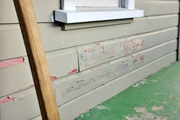 Best Storm Damage Siding Repair  in Avalon, NJ